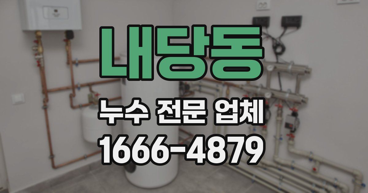 내당동 누수 전문 업체