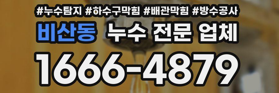 비산동 누수 전문 업체
