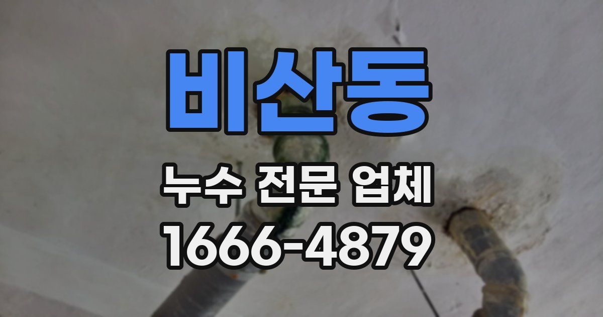 비산동 누수 전문 업체
