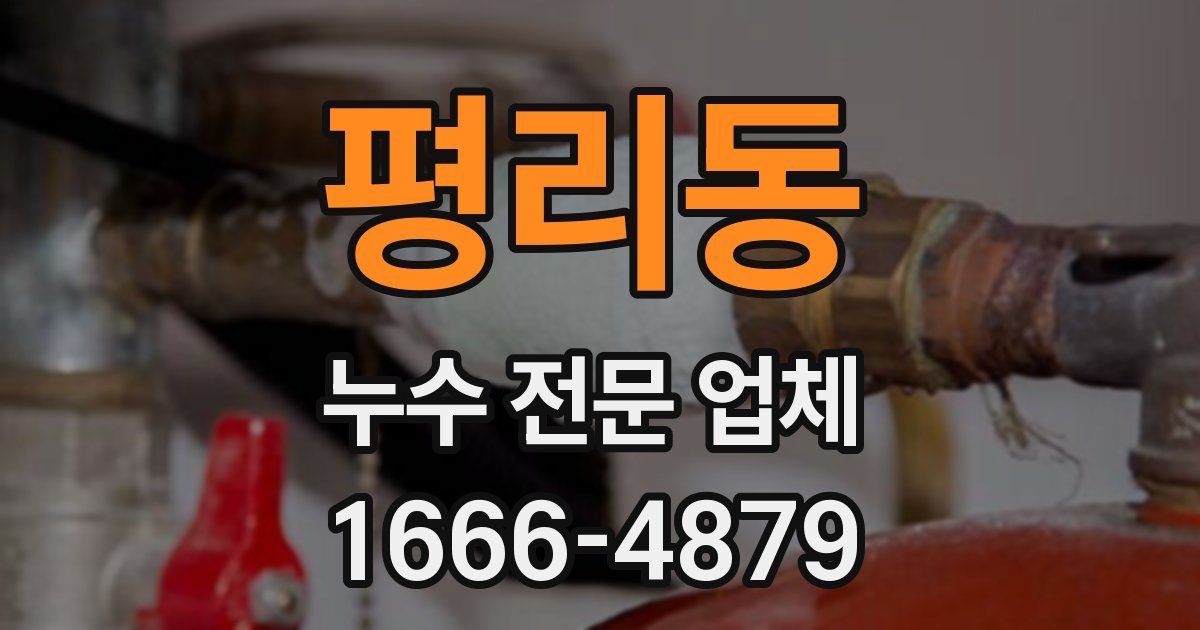 평리동 누수 전문 업체