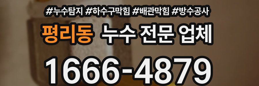 평리동 누수 전문 업체