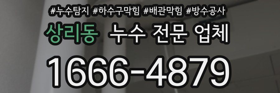 상리동 누수 전문 업체
