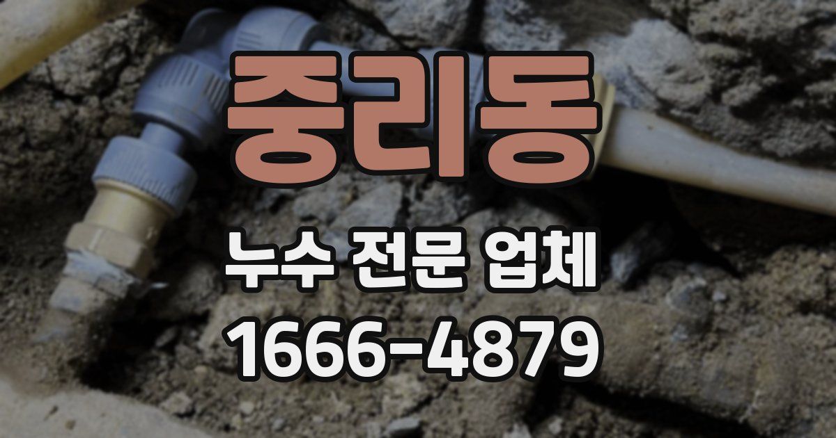 중리동 누수 전문 업체