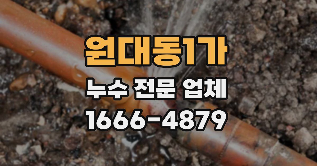 원대동1가 누수 전문 업체