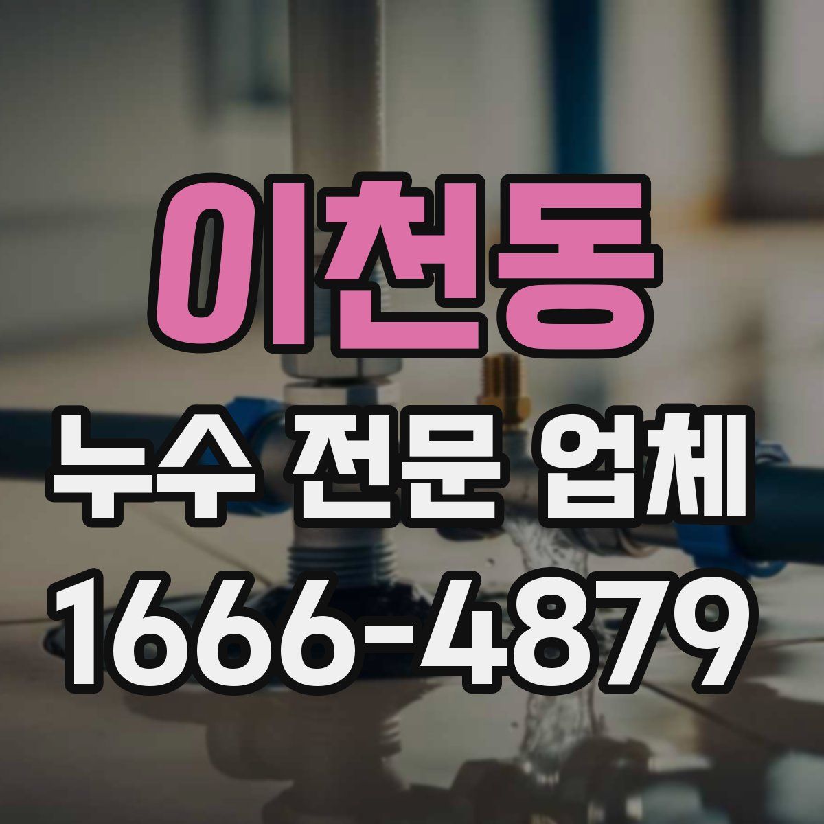 이천동 누수 전문 업체