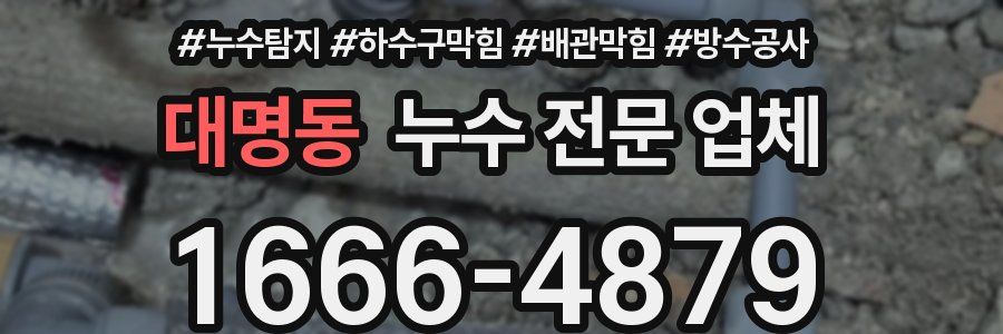 대명동 누수 전문 업체