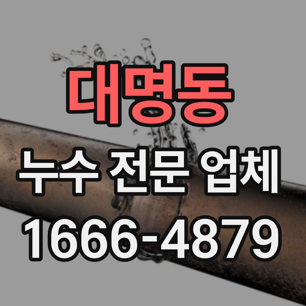 대명동 누수 전문 업체