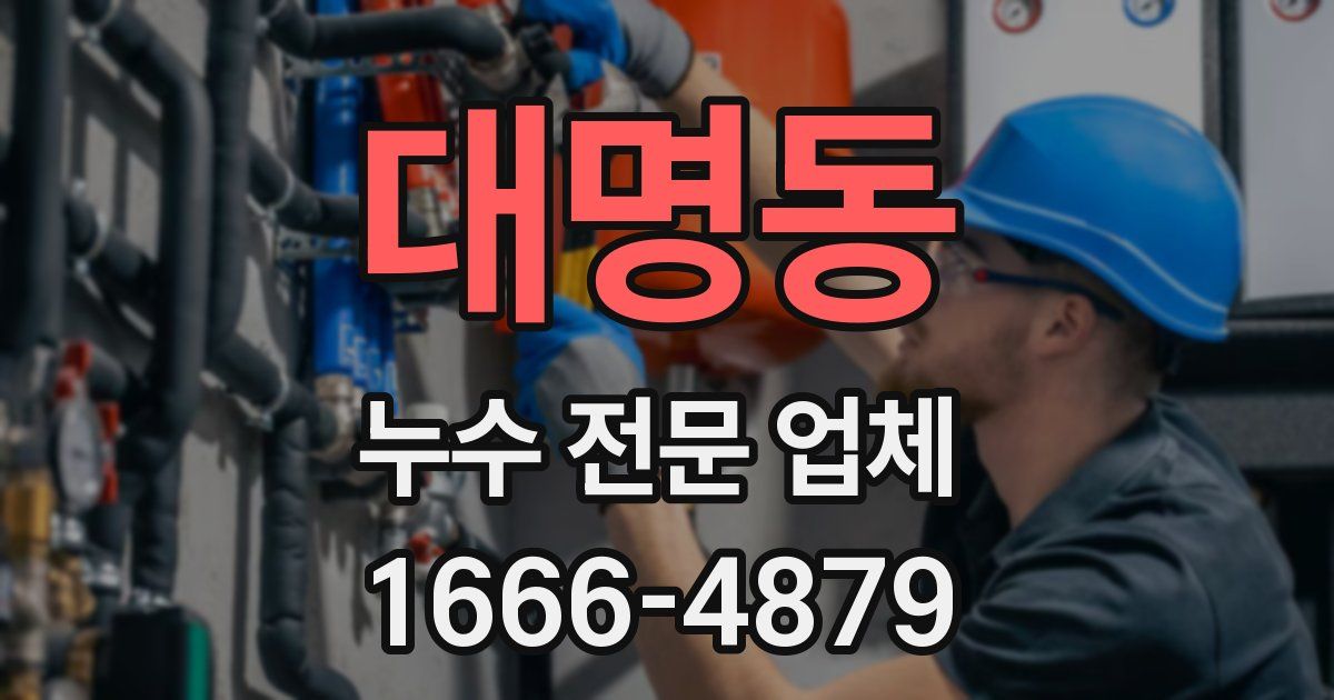 대명동 누수 전문 업체