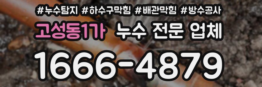 고성동1가 누수 전문 업체