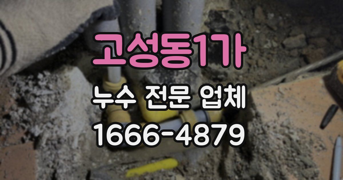 고성동1가 누수 전문 업체