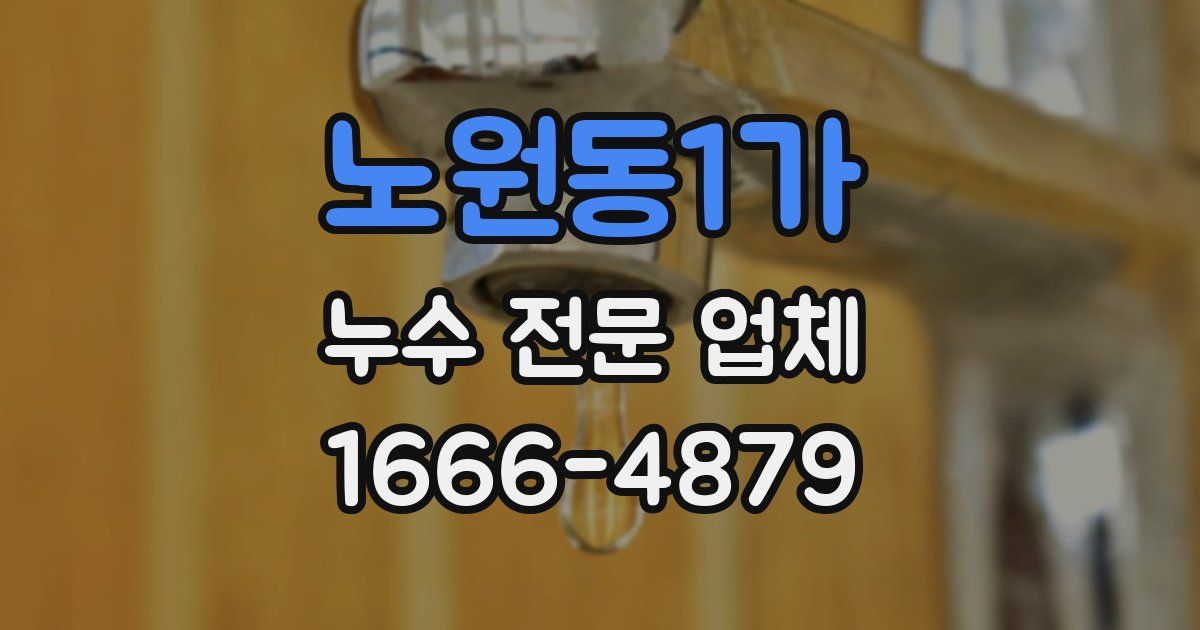 노원동1가 누수 전문 업체