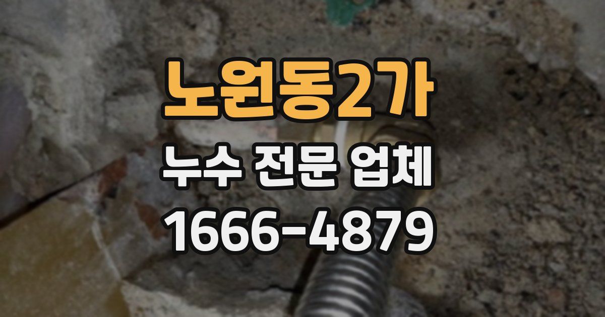 노원동2가 누수 전문 업체