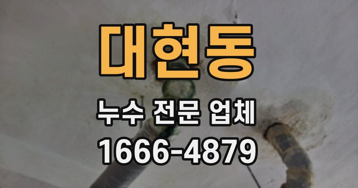 대현동 누수 전문 업체