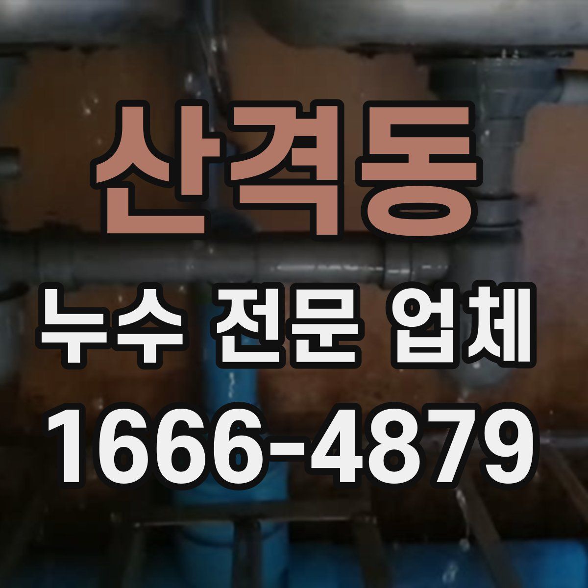 산격동 누수 전문 업체