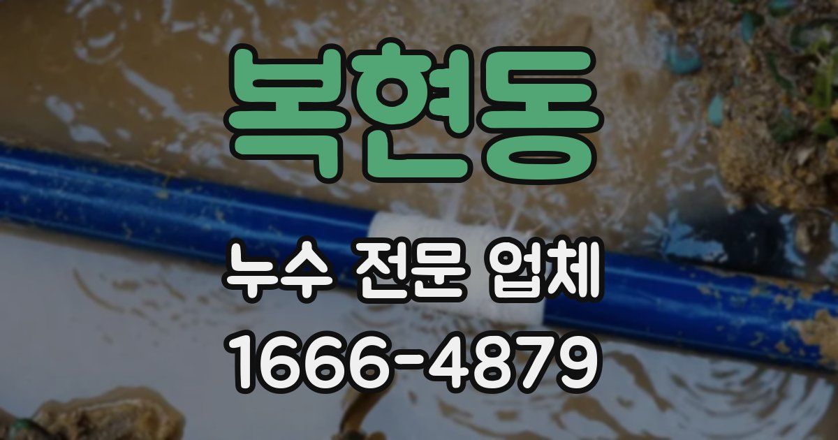 복현동 누수 전문 업체