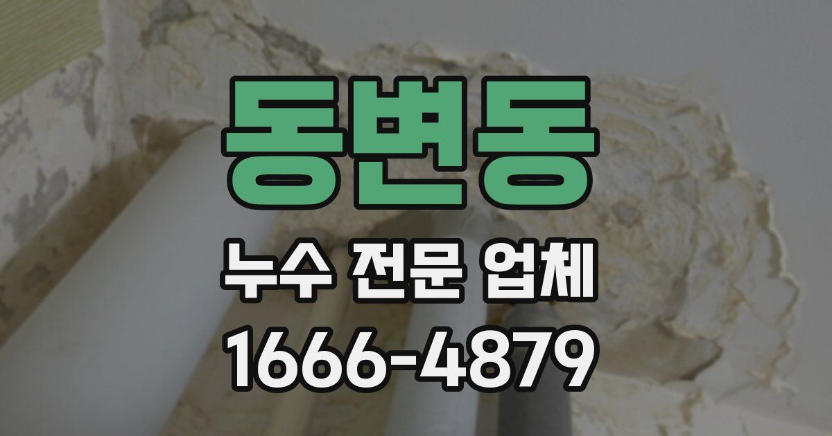 동변동 누수 전문 업체