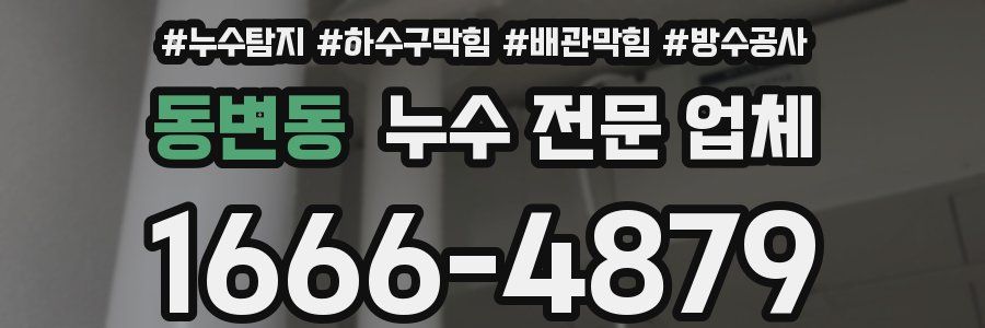 동변동 누수 전문 업체