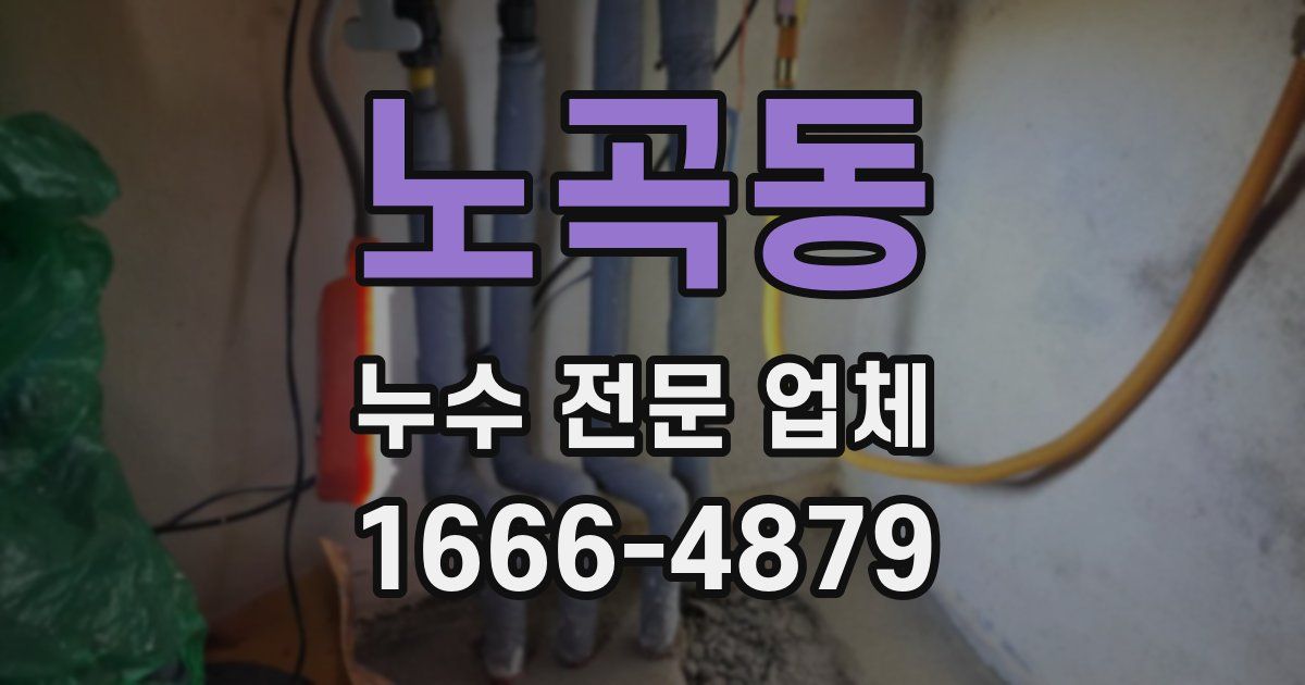 노곡동 누수 전문 업체