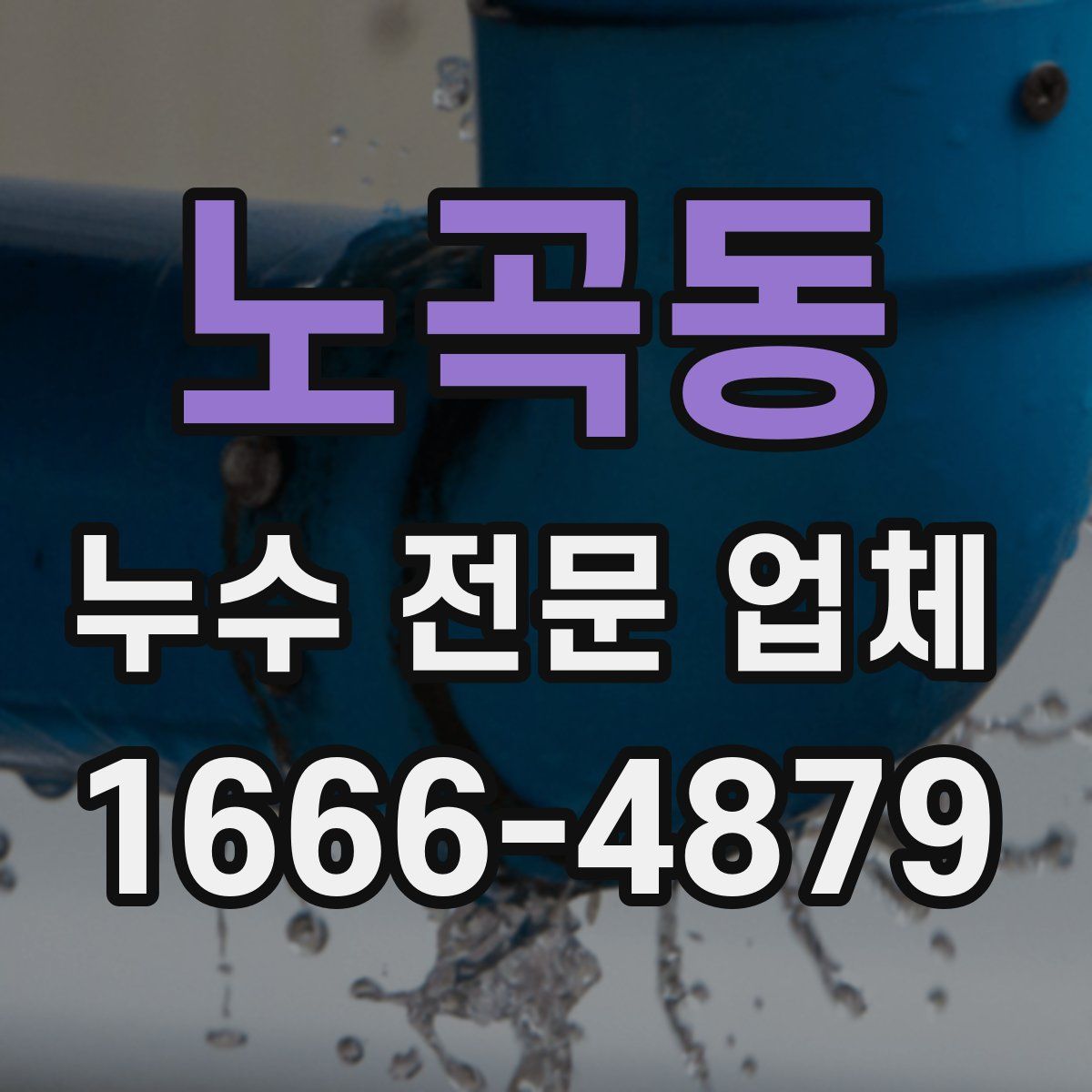 노곡동 누수 전문 업체