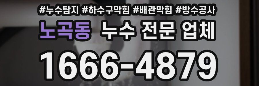 노곡동 누수 전문 업체