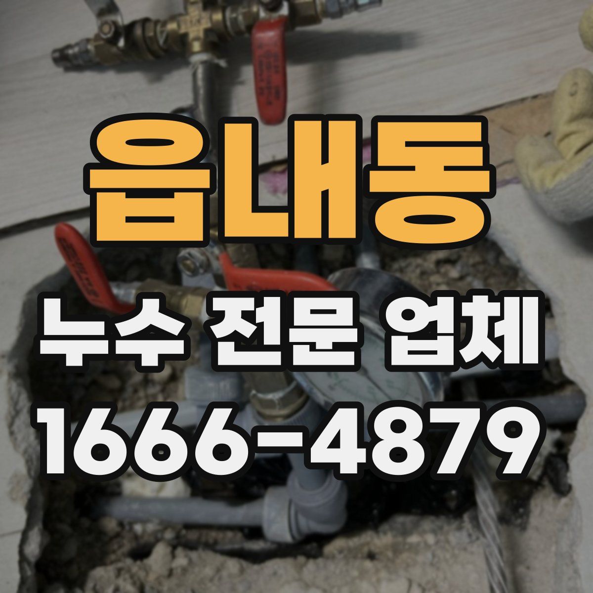 읍내동 누수 전문 업체