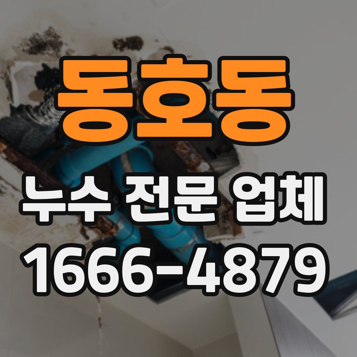 동호동 누수 전문 업체