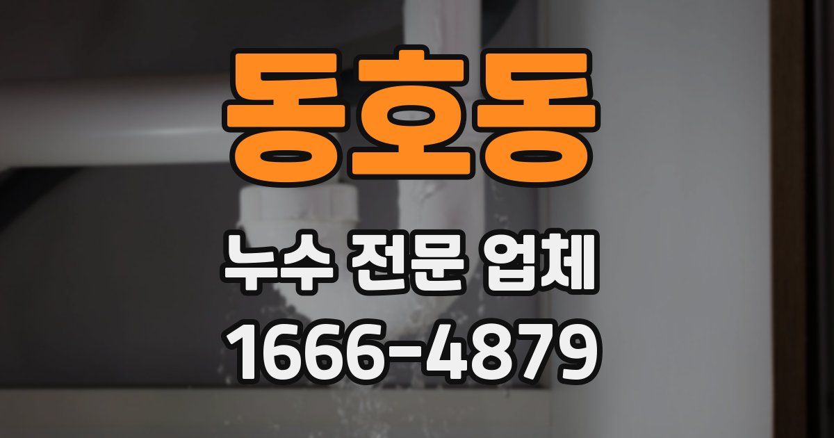 동호동 누수 전문 업체