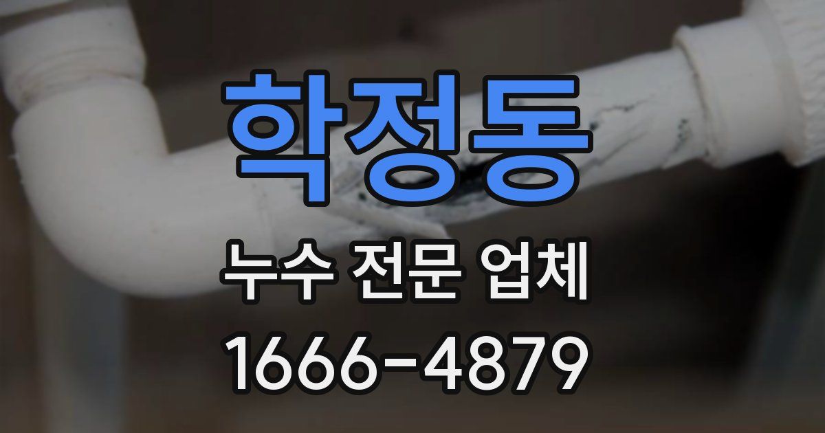 학정동 누수 전문 업체