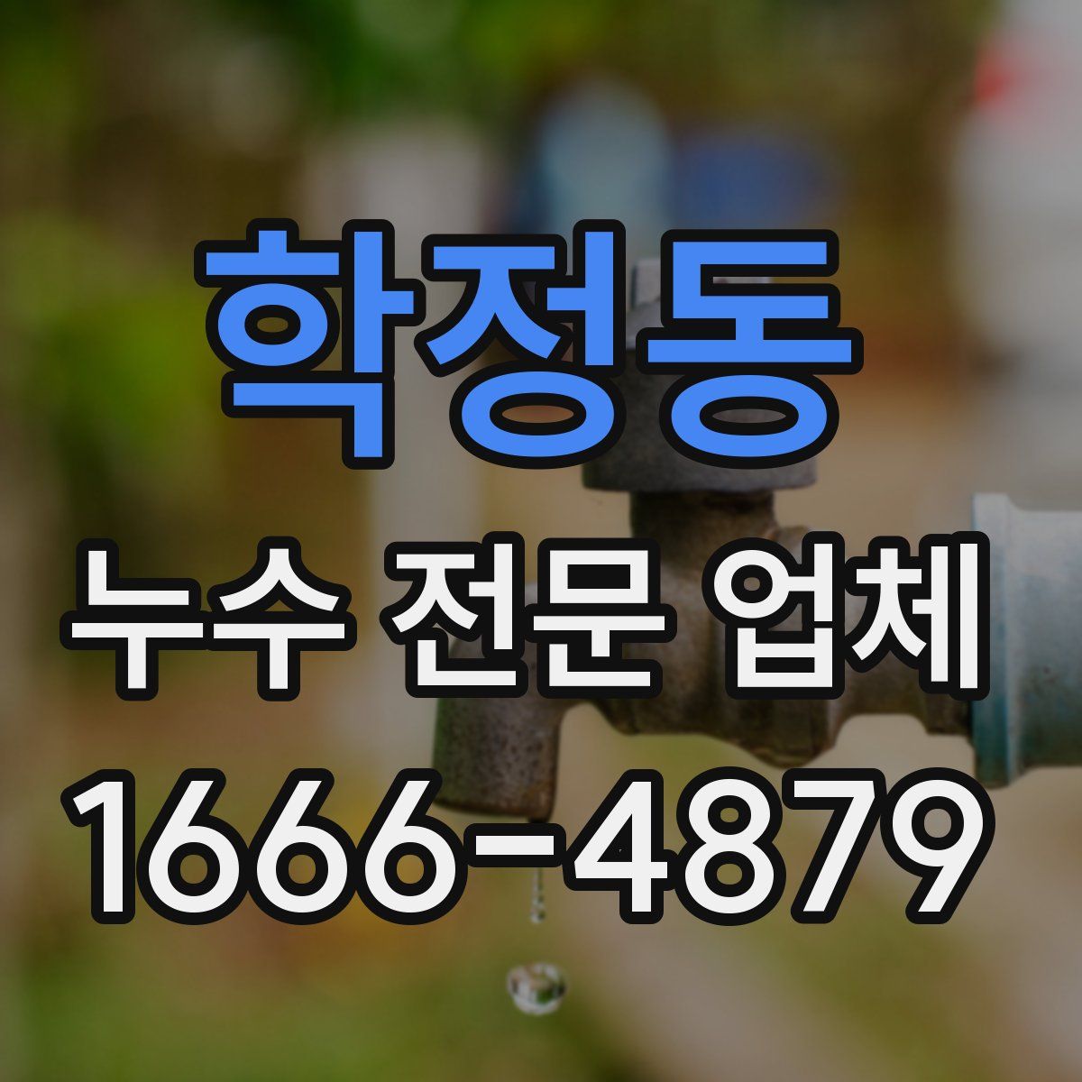 학정동 누수 전문 업체
