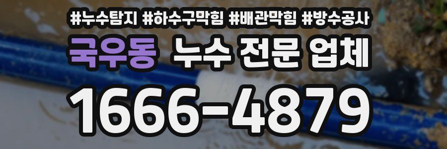 국우동 누수 전문 업체
