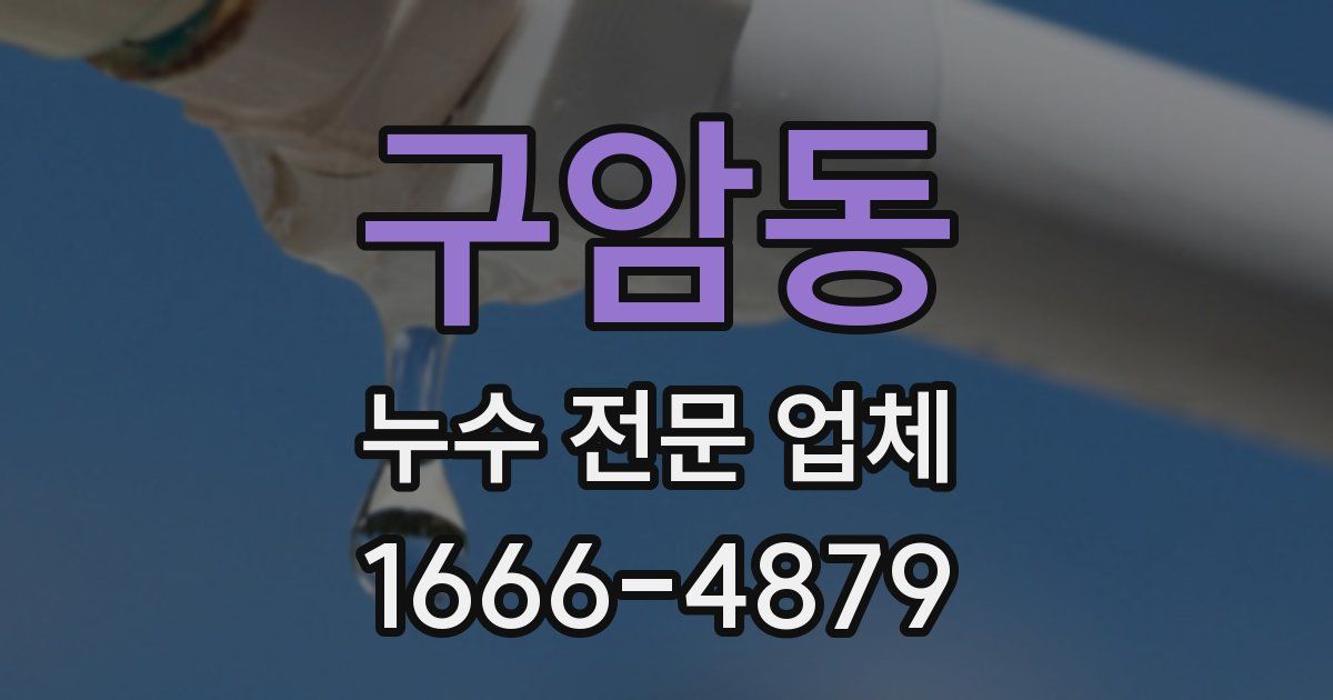 구암동 누수 전문 업체