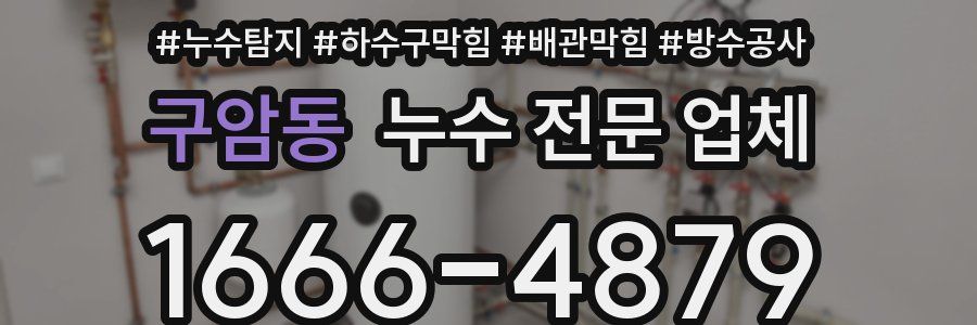 구암동 누수 전문 업체