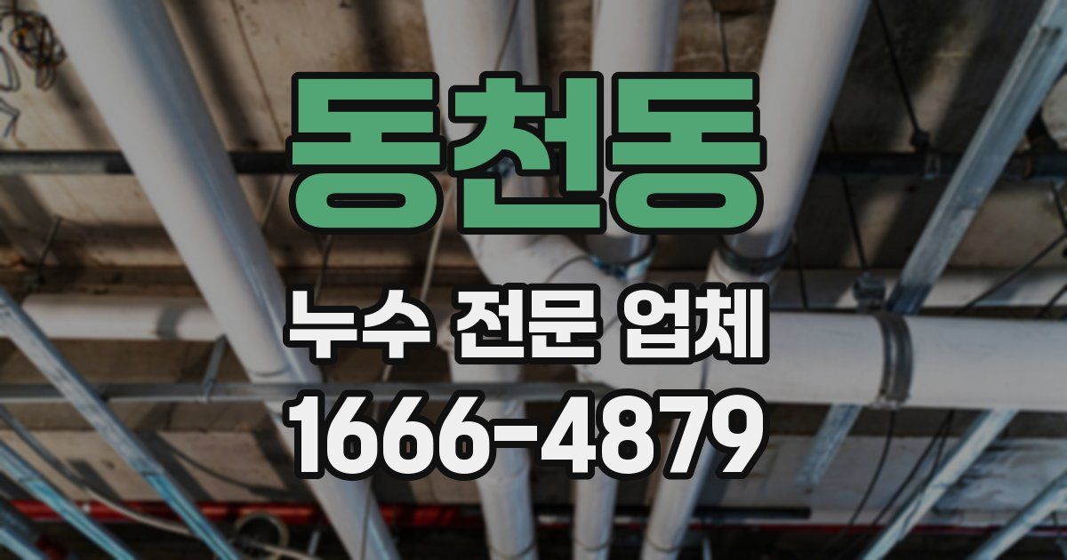 동천동 누수 전문 업체