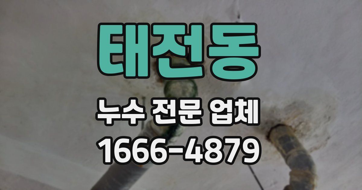 태전동 누수 전문 업체