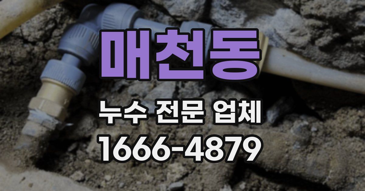 매천동 누수 전문 업체
