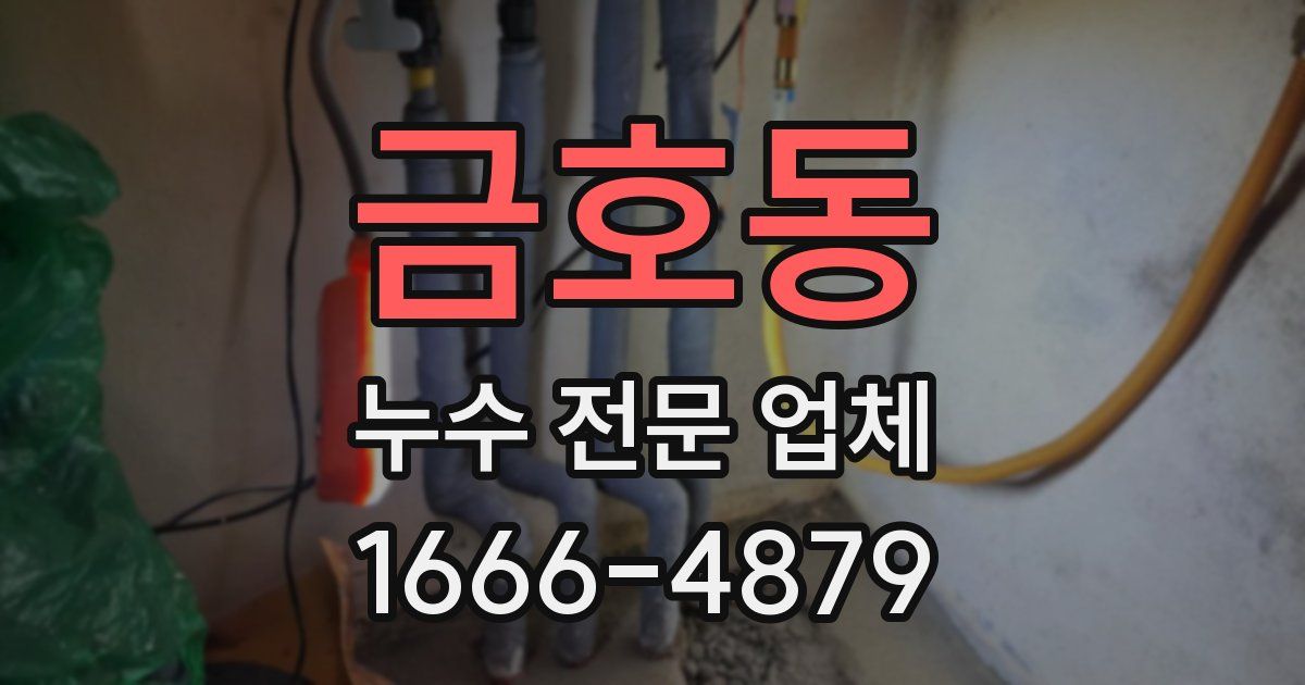 금호동 누수 전문 업체