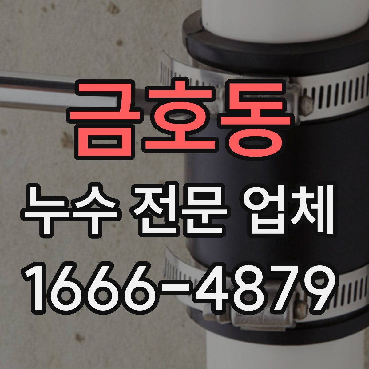 금호동 누수 전문 업체
