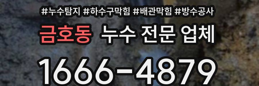 금호동 누수 전문 업체