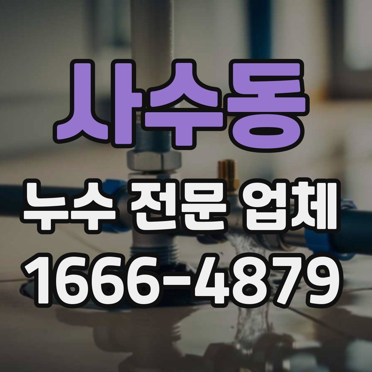 사수동 누수 전문 업체