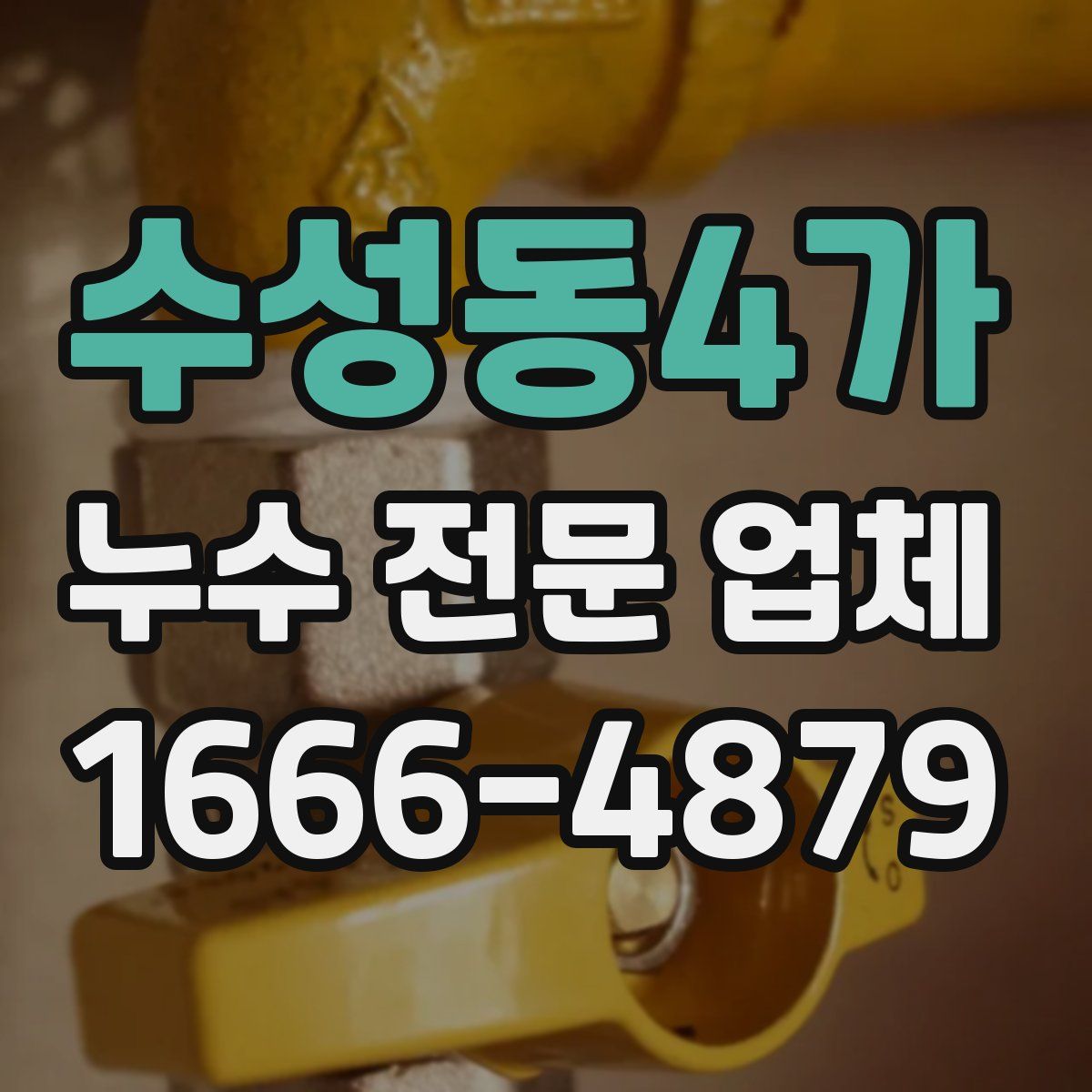 수성동4가 누수 전문 업체