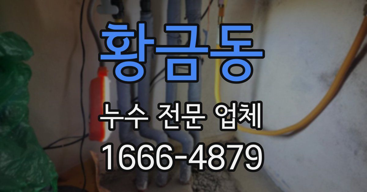 황금동 누수 전문 업체