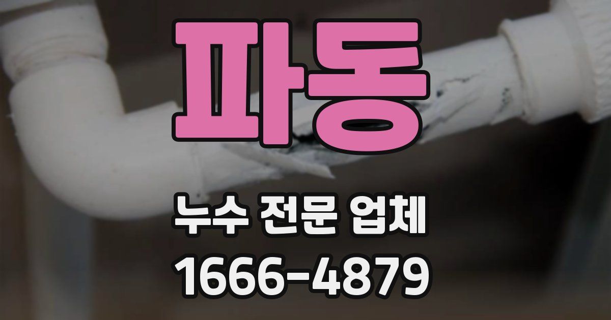 파동 누수 전문 업체