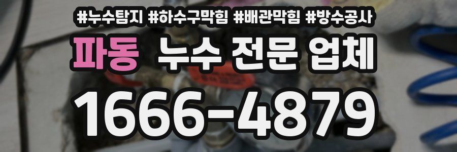 파동 누수 전문 업체