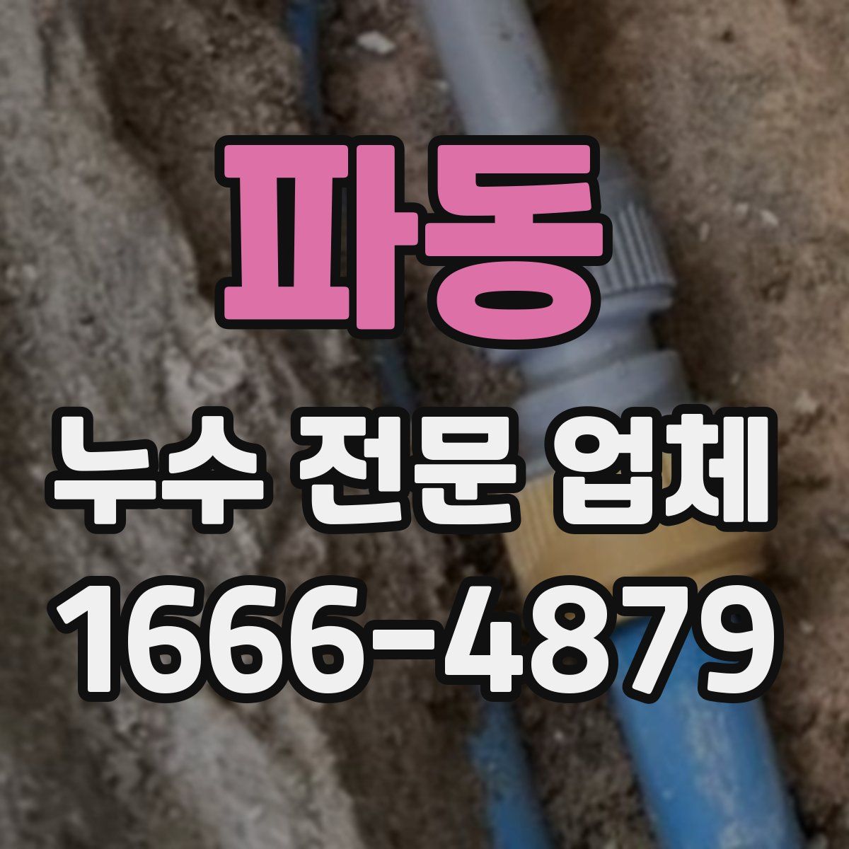 파동 누수 전문 업체