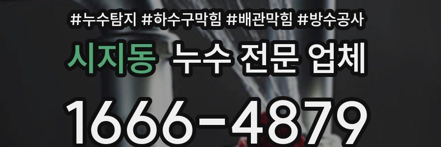 시지동 누수 전문 업체