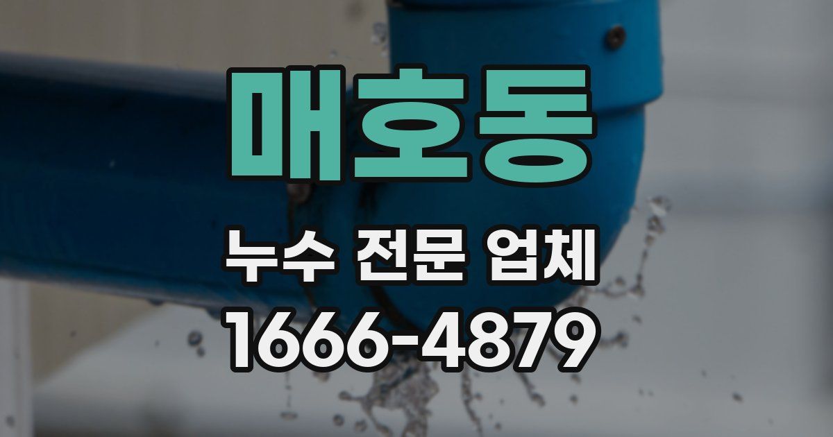 매호동 누수 전문 업체