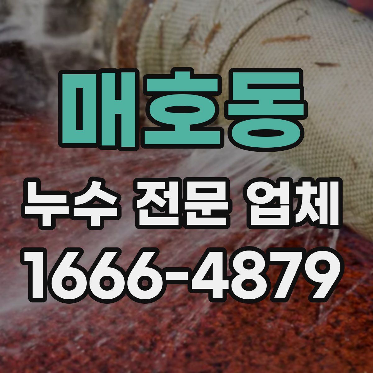 매호동 누수 전문 업체