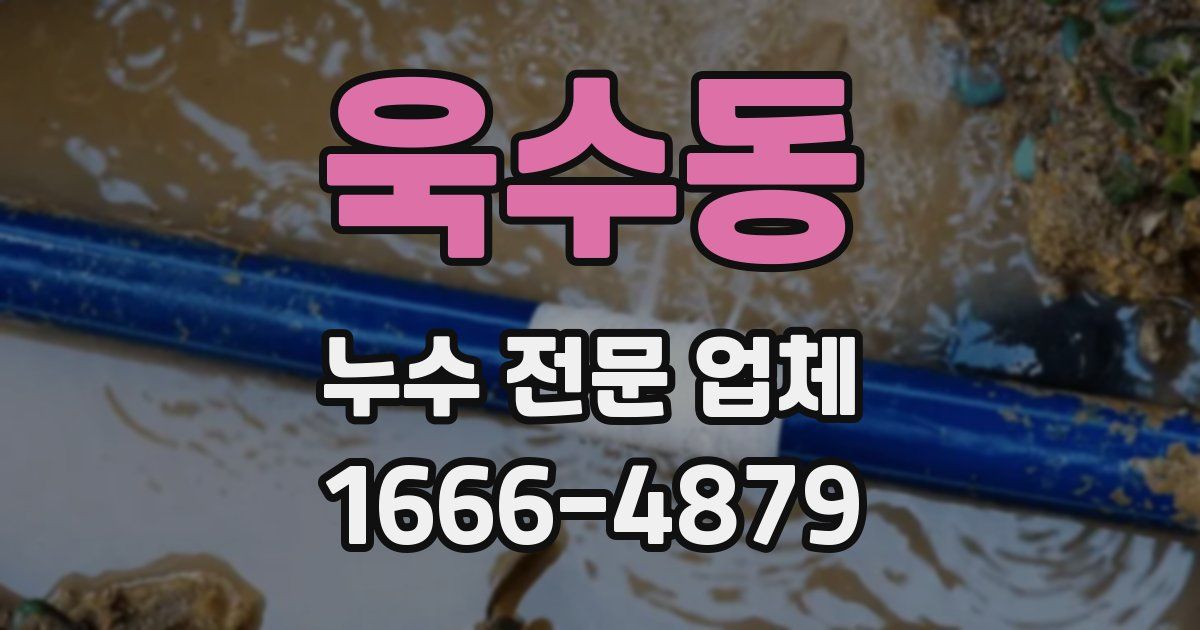 욱수동 누수 전문 업체