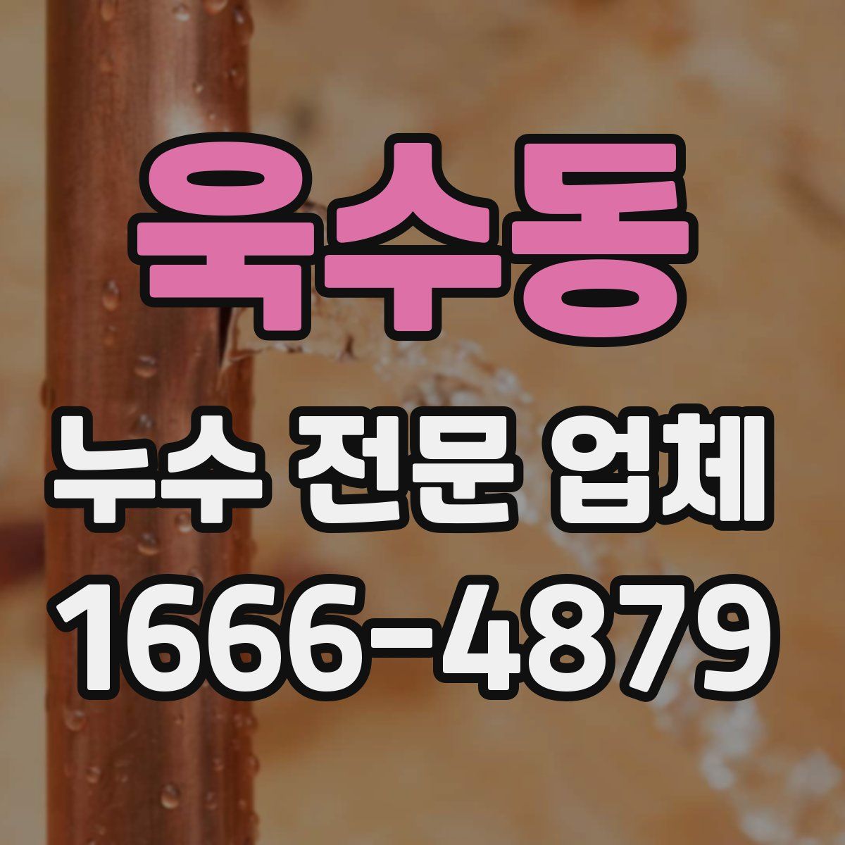 욱수동 누수 전문 업체