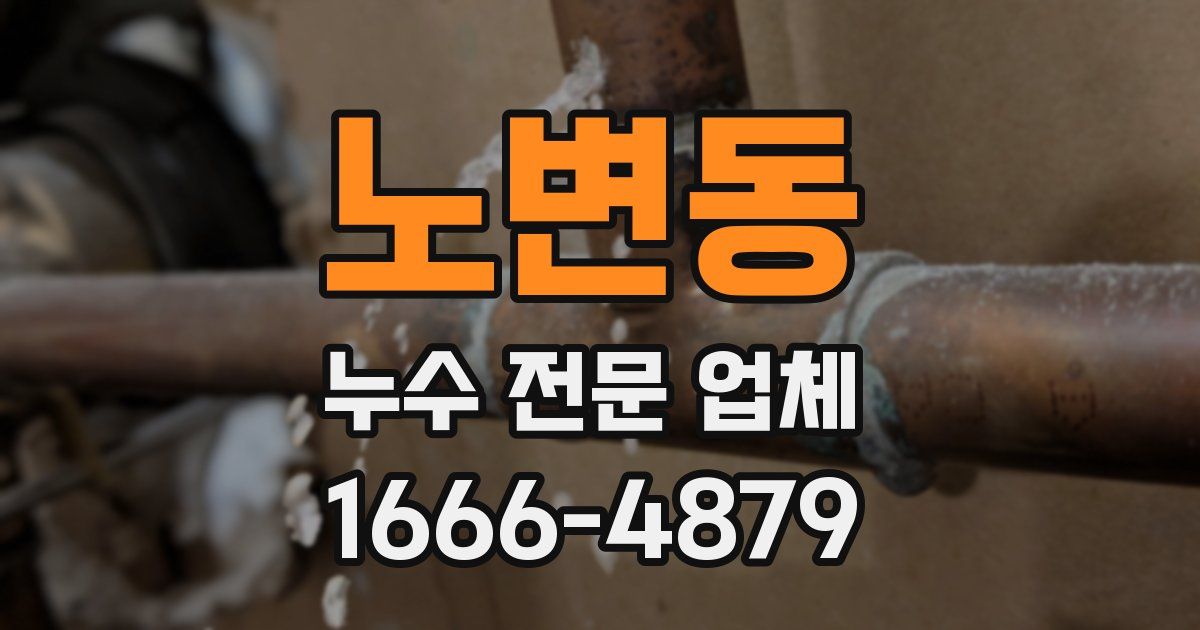 노변동 누수 전문 업체